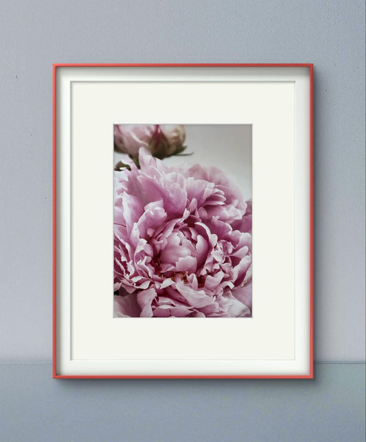 Lush Peony Bloom – Elegant Floral Art Print in Soft, Natural Hues