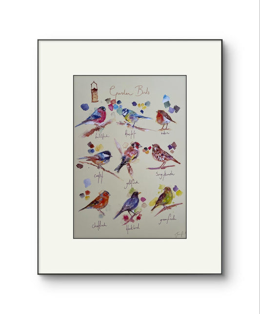 Garden Birds Collection – Jennifer Rose Watercolour